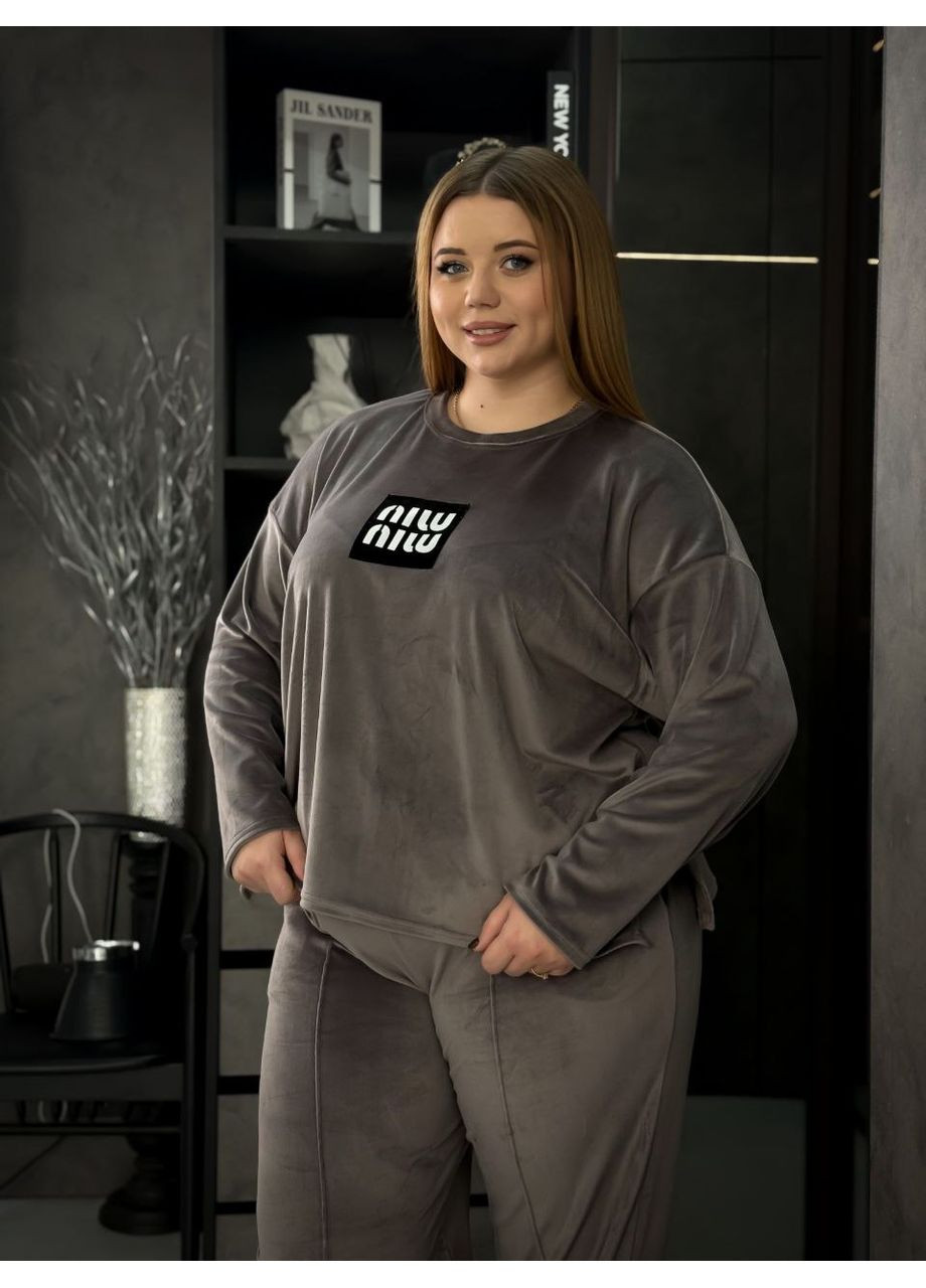 Прогулянковий костюм оверсайз із велюру (ЗАМІРИ В ОПИСІ) DK/DL Мода без кордонів (369326980)