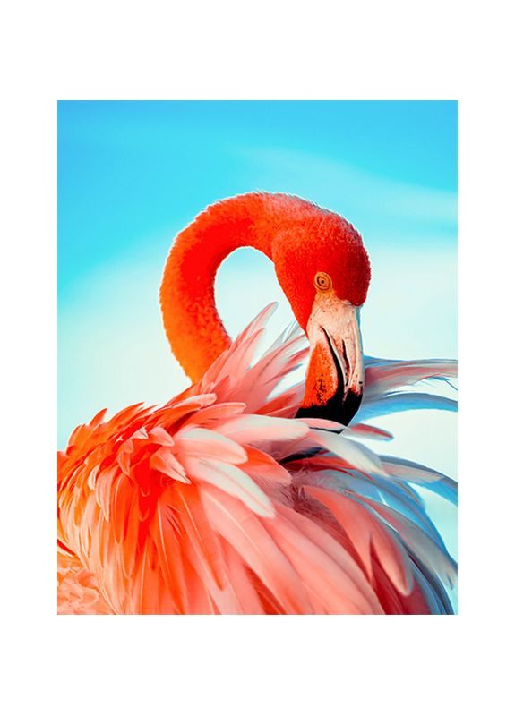 Алмазна мозаїка Яскравий рожевий фламінго Творча картина для дітей і дорослих декор для інтер'єру Strateg (369761595)