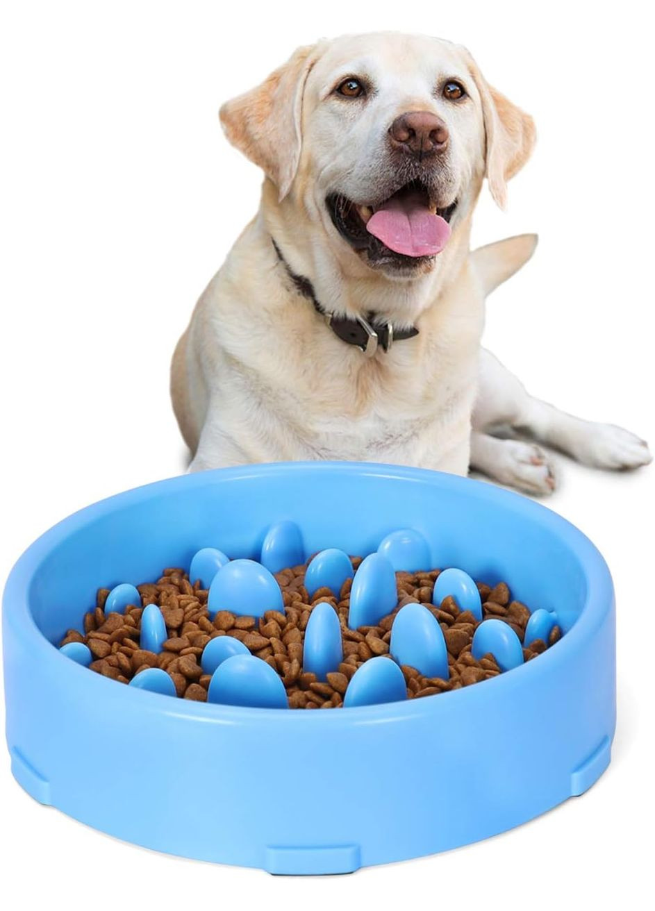 Миска для повільного годування собак блакитна 20х19х5 см Ecotoys (270365799)