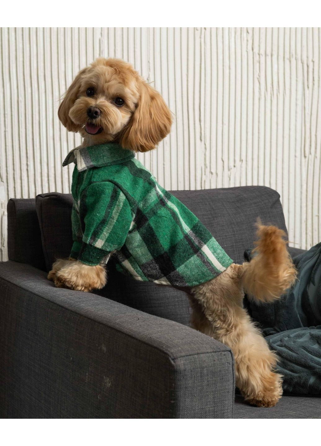 Рубашка клетчатая зеленая RUB-52 Размер 6 Dogs Bomba (370275756)