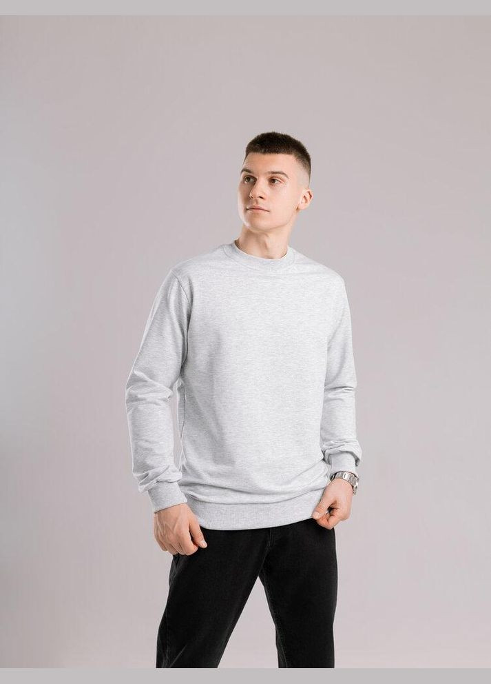 Светло-серый базовый мужской свитшот однотонный светло-серая однотонный без декора (345647928)