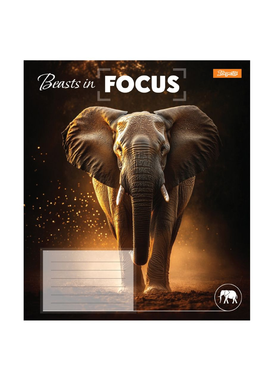 Тетрадь ученическая Beasts in Focus 1В 768059 36 л. Разноцветный shop (4823092296610) 1 Вересня (363255301)