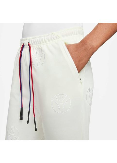 Спортивные штаны Nike PSG Travel DX5697-133 (360429512)