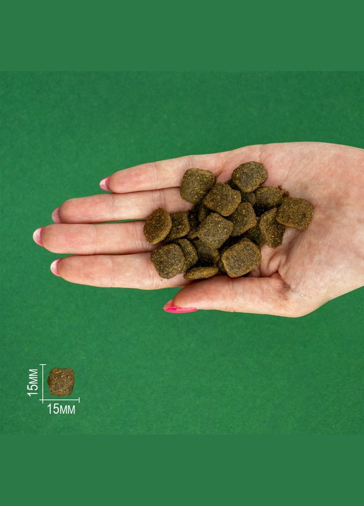 Сухой корм Salmon Large/Medium Adult для взрослых собак средних и больших пород с лососем 12 кг (8436538946640) Bravery (315867979)