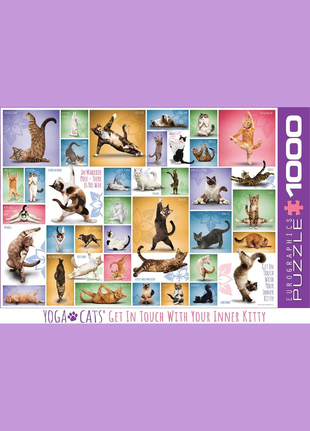 Пазл Йога Кошки, 1000 элементов () Eurographics 6000-0953 (328395067)