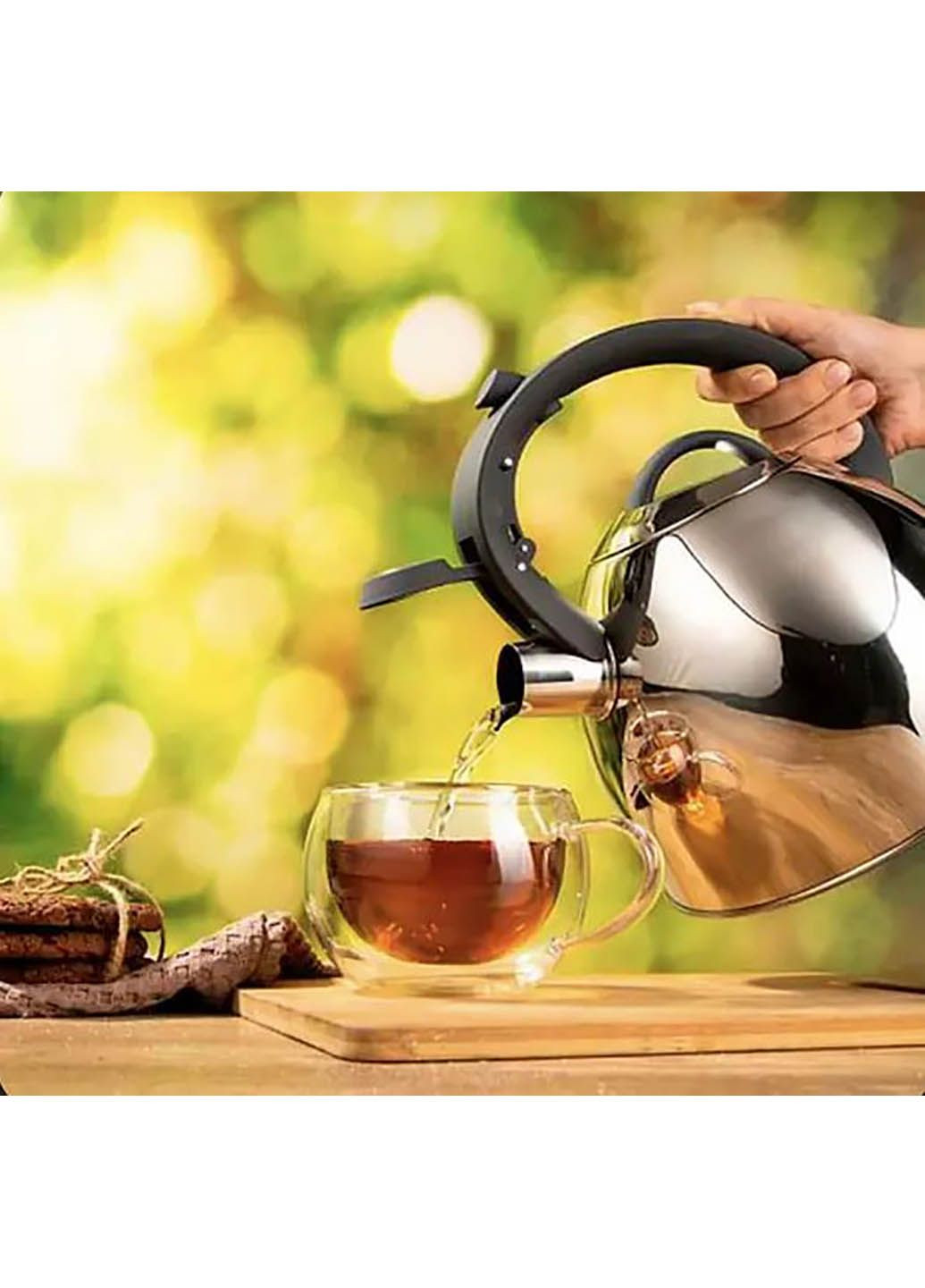 Чайник з нержавіючої стали 2,5 л. Gemini AR1947KS Ardesto (337176792)