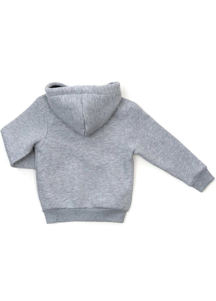 Кофта флисовая на молнии (CL0125009-128-lightgray) Cloise (301147021)