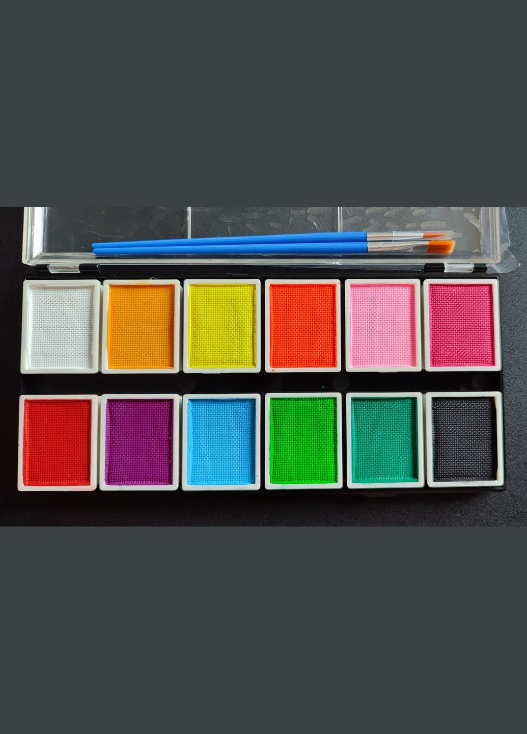 Аквагрим набор 12 цветов и 2 кисти. Poetry Shadow (302242015)