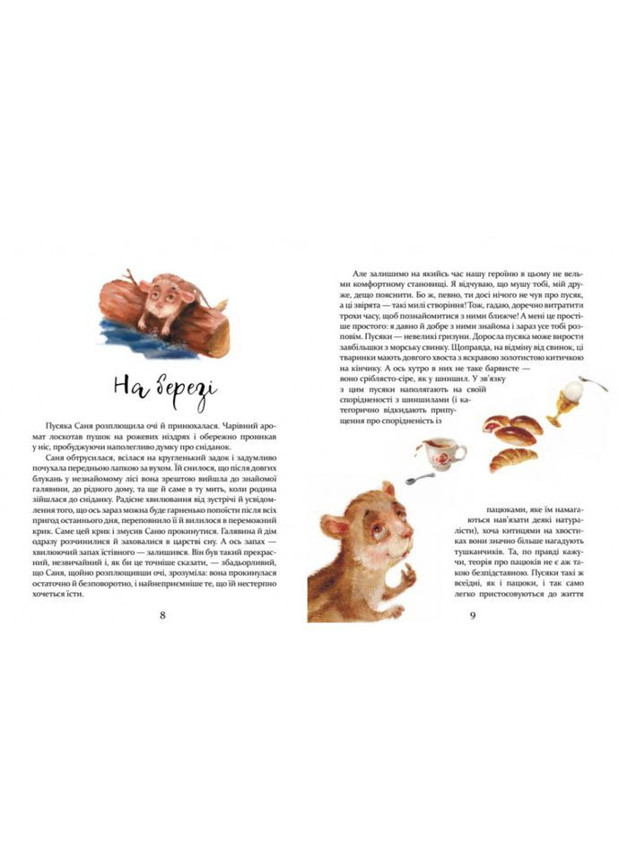 Дитяча книжка Пригоди пусяки Сани 253325, 176 сторінок Час Майстрів (316536082)