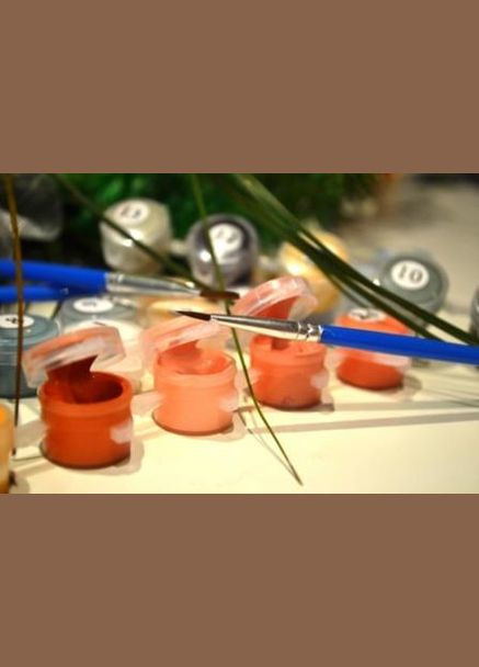 Картина за номерами Маки авт Oleg Loburak 40х50 см BS54160 Brushme (332790382)