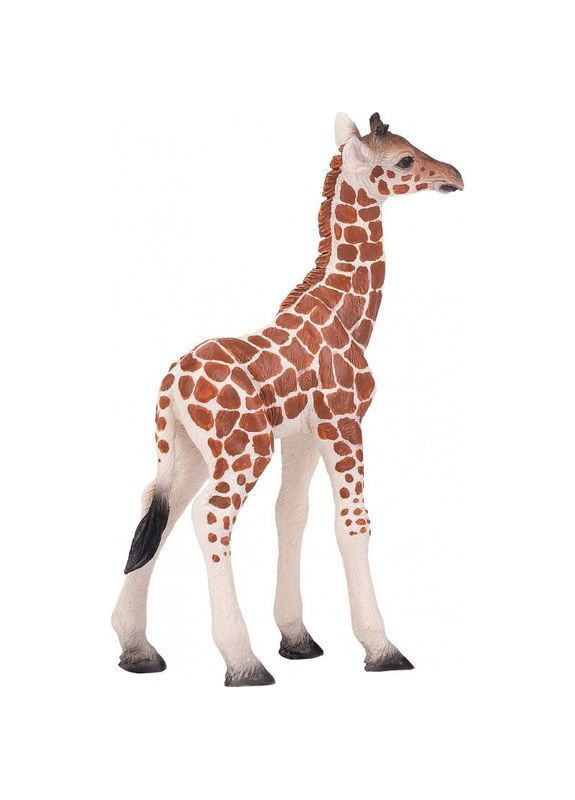 Игровая фигурка Детеныш жирафа () Mojo 381034 (369111645)