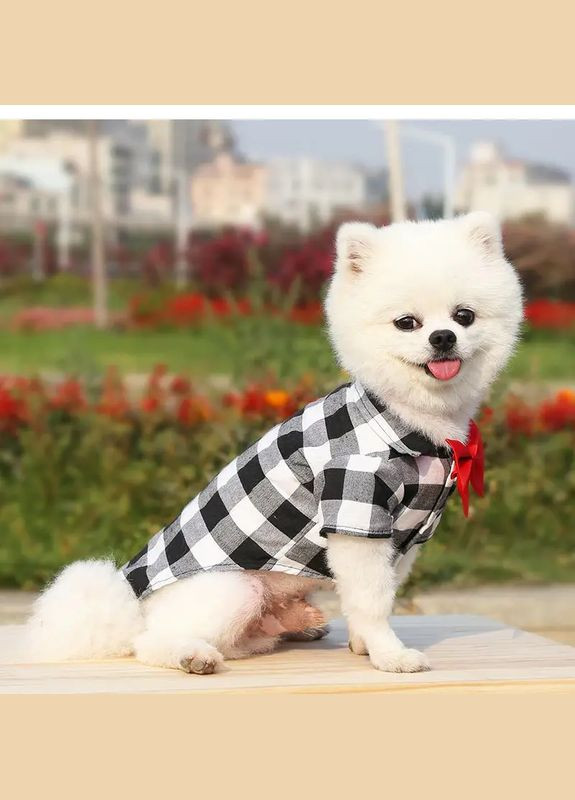 Сорочка для собак у клітку з метеликом чорно-біла XXL No Brand (302372611)