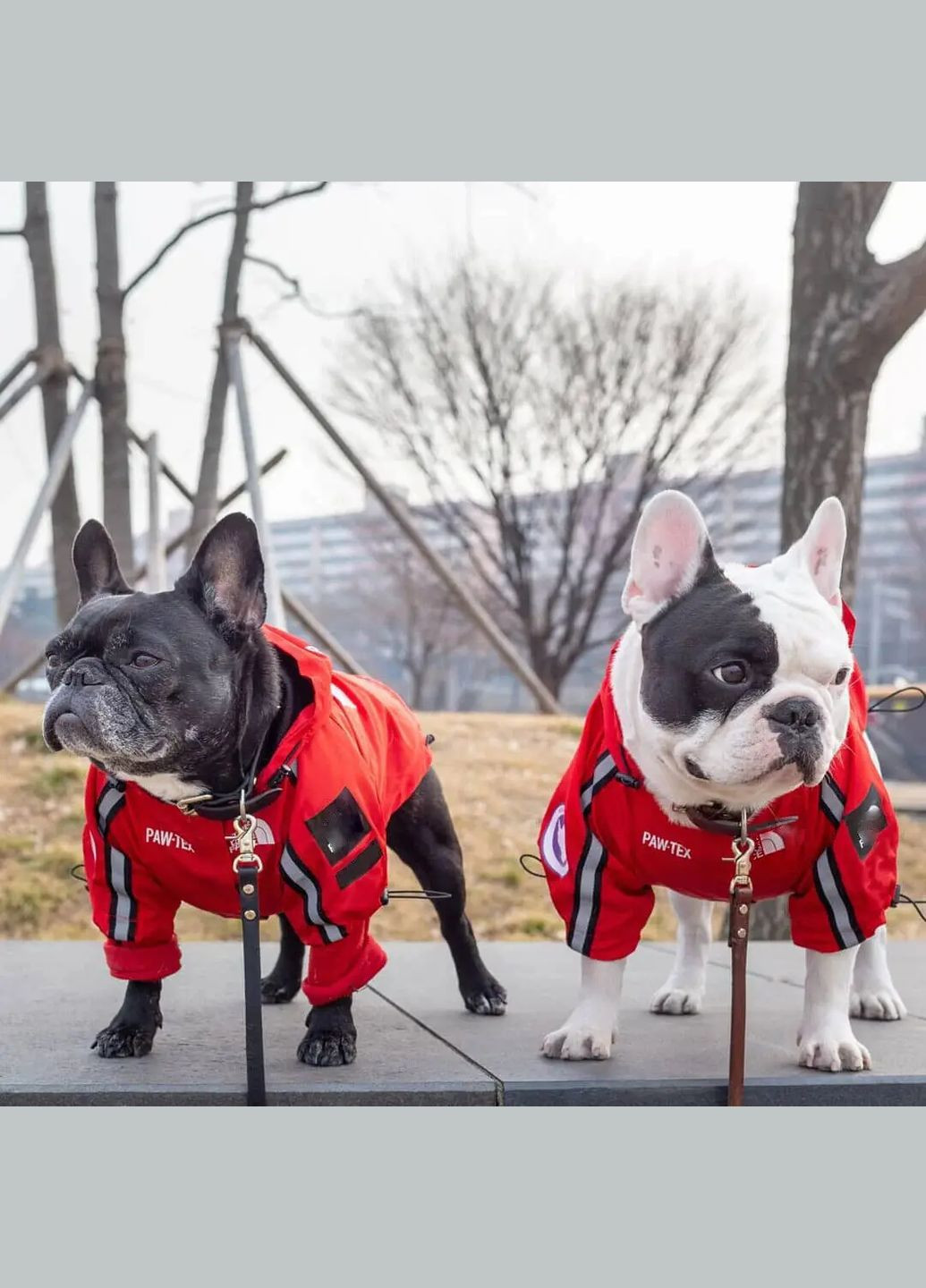 Куртка ветровка с тонкой водонепроницаемой подкладкой the dog face для собак красная M размер No Brand (299840187)