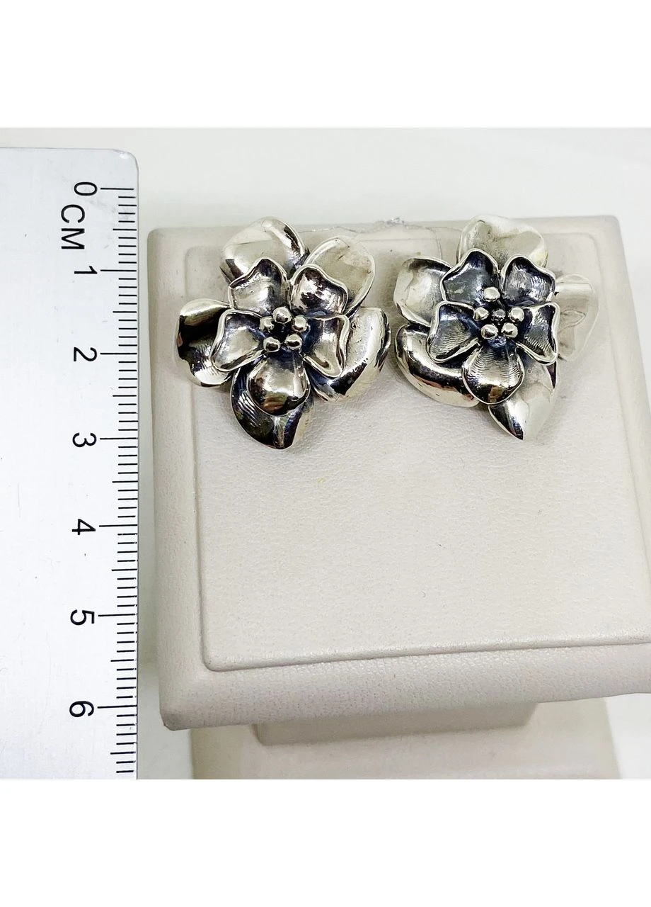 Серьги серебряные "Алнаир 2" 12,92 г No Brand (382677113)