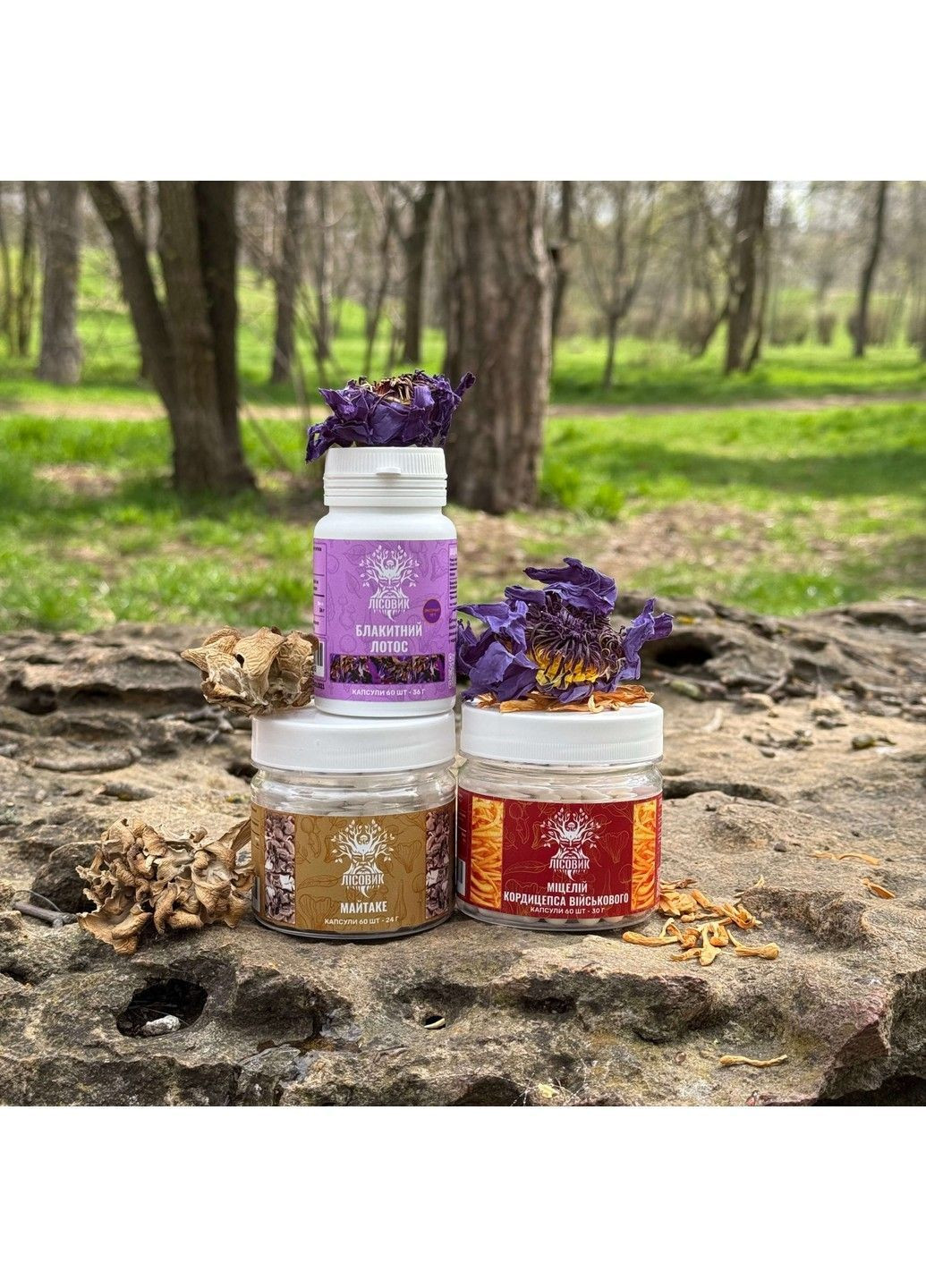 Курс Creativity Unleashed Творчий потік (1 місяць) Лісовик (364210580)