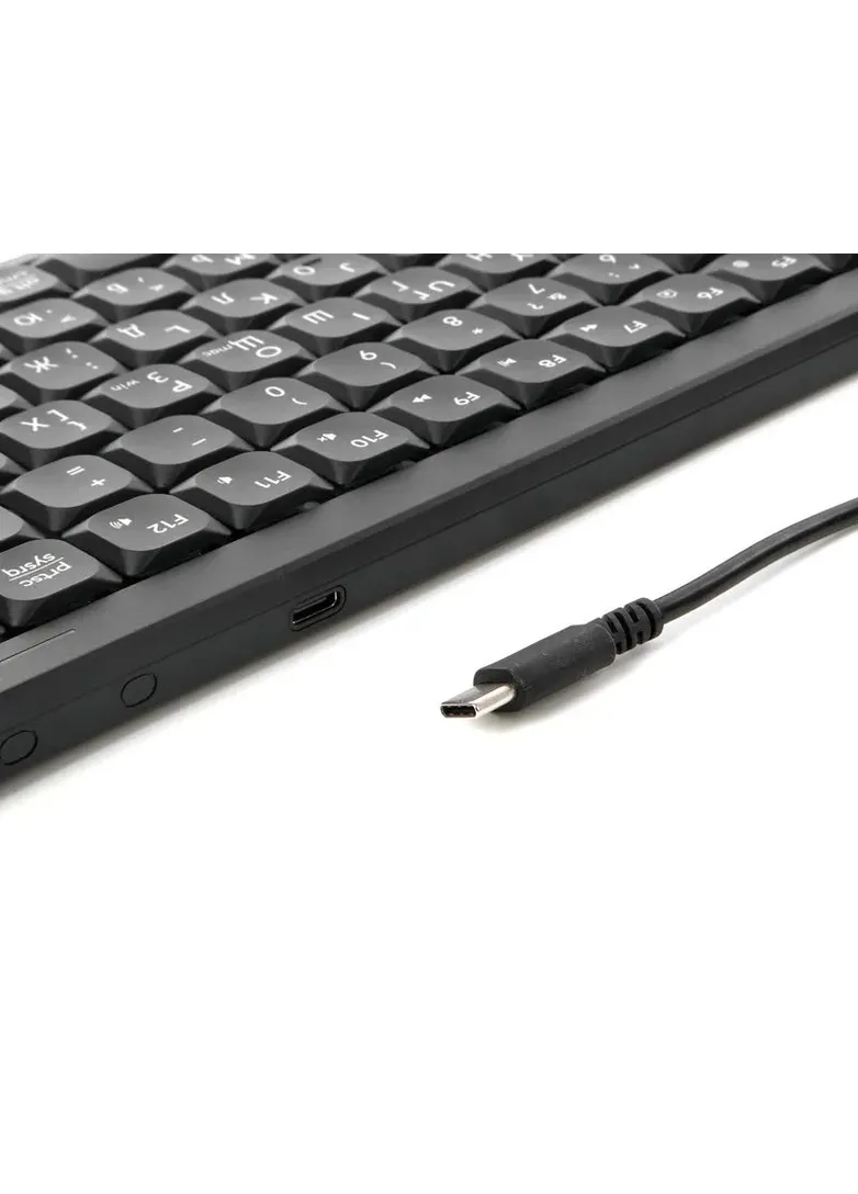 Клавиатура FX53 (Black) Fstyler, USB, с ножничным переключателем, цвет черный A4Tech (379001051)