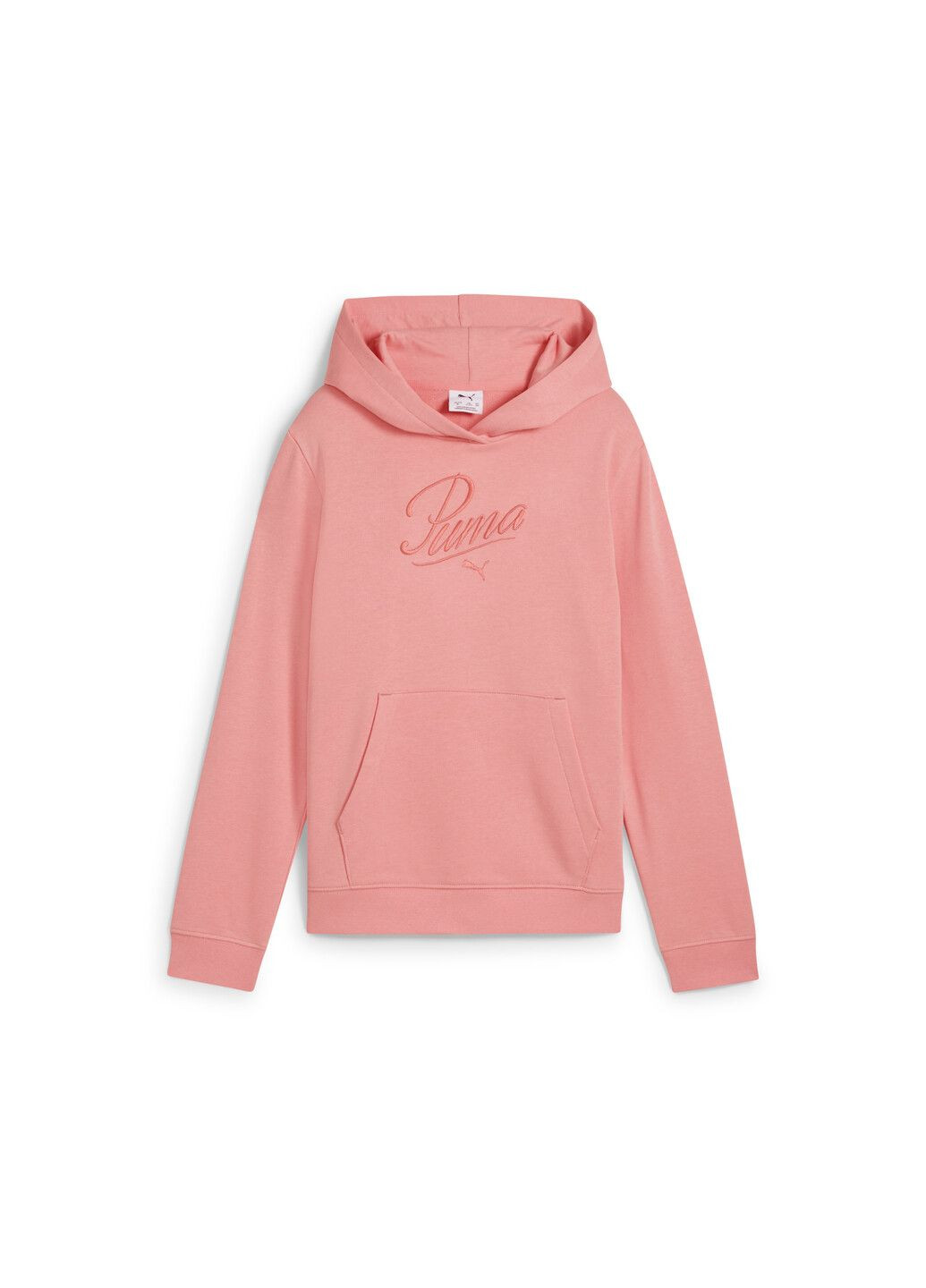 Дитяче худі Essentials Script Hoodie Youth Puma (317249341)