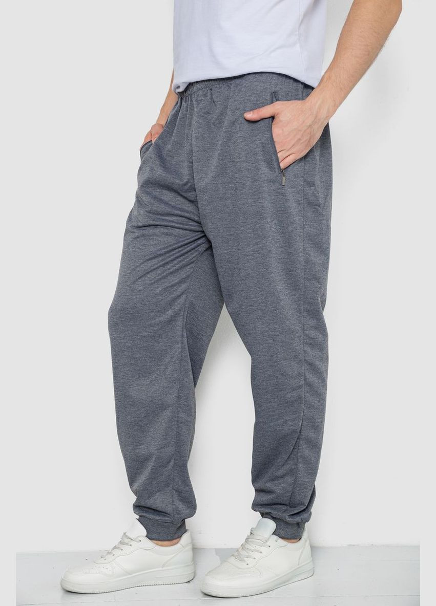Серые спортивные демисезонные брюки Ager