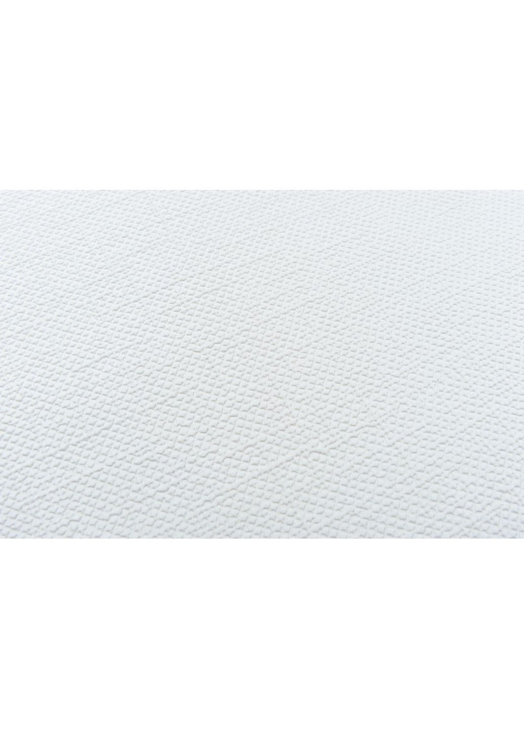 Флизелиновые обои вспененный винил LS Vinil Под покраску С-122 белый 25 x 1,06 м Vinil Wallpaper Factory (316476579)