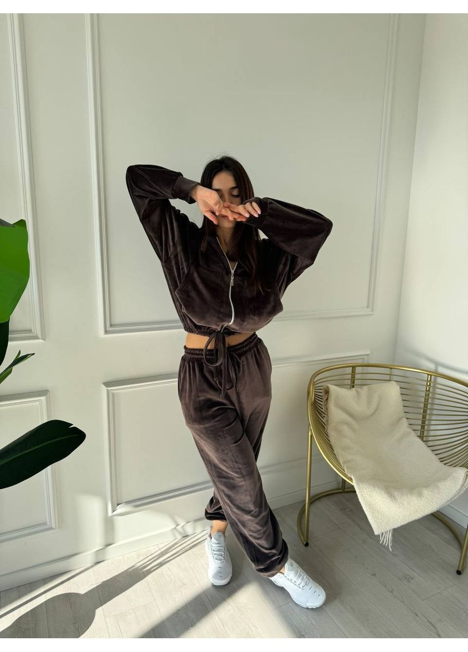 Жіночий велюровий костюм Україна (353492922)