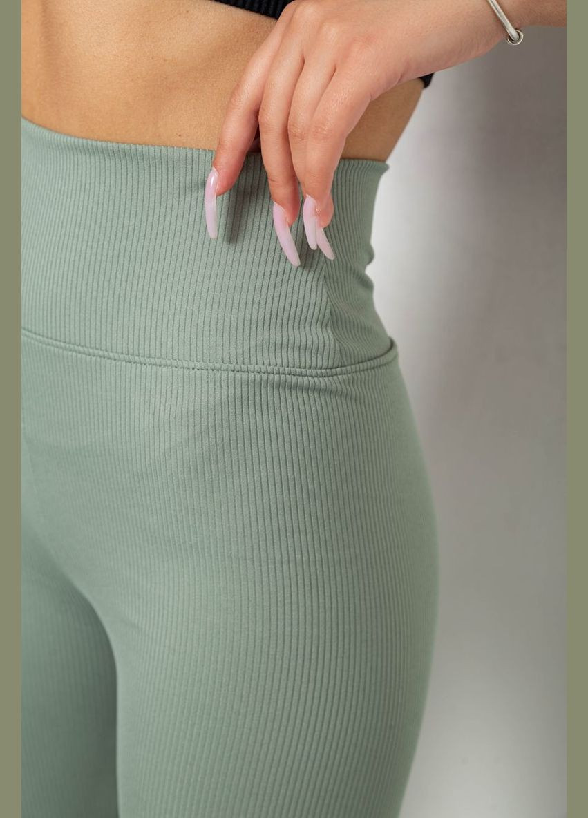 Лосини однотонні в рубчик Ager 238R606-1 (338793227)