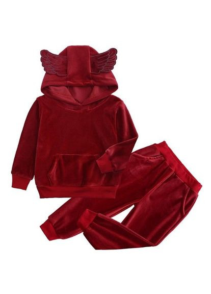 Темно-красный демисезонный костюм детский с капюшоном и крыльями ( ) (5562b) Qoopixie