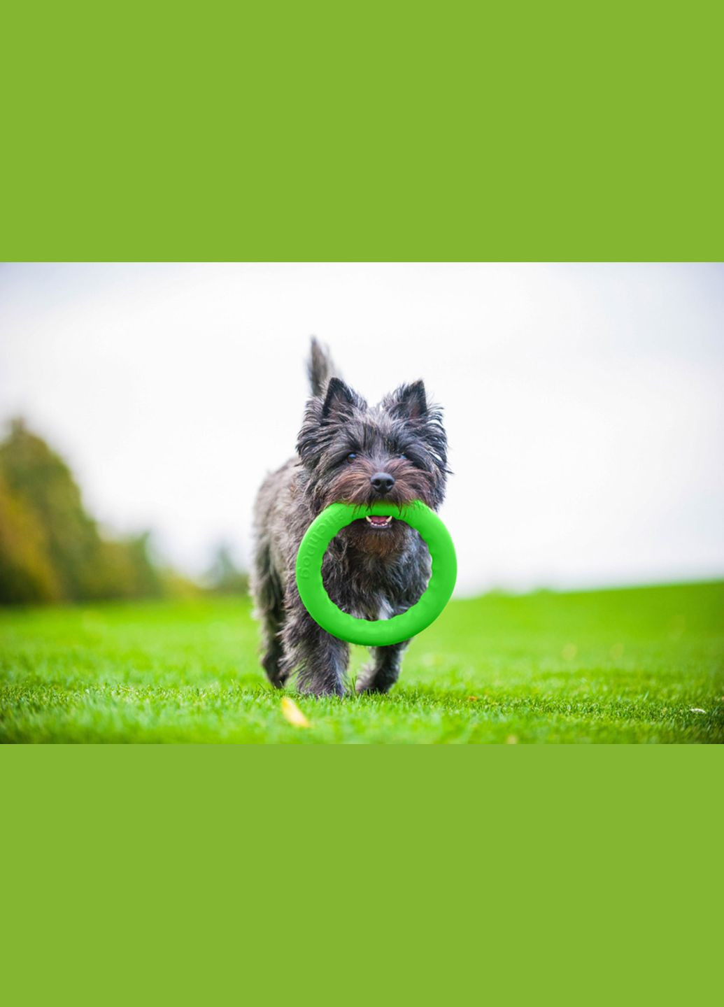 Кольцо для апортировки PitchDog30, диаметр 28 см PitchDog (329994221)