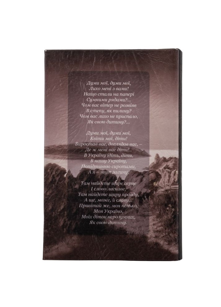 Шатулка книга сейф металлическая Кобзарь 26х17х5 см 0508-010 обложка кожзама Lefard (346152266)