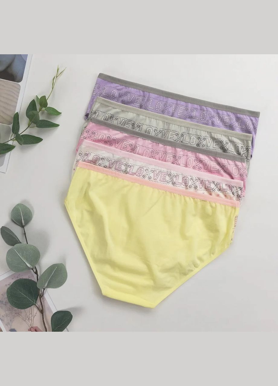 Женские трусики Plus Size – яркий микс 5 шт. Nicoletta (342119790)