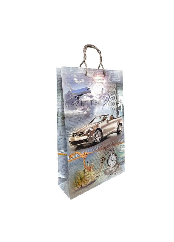 Подарочный бумажный пакет 9033 No Brand (373684078)