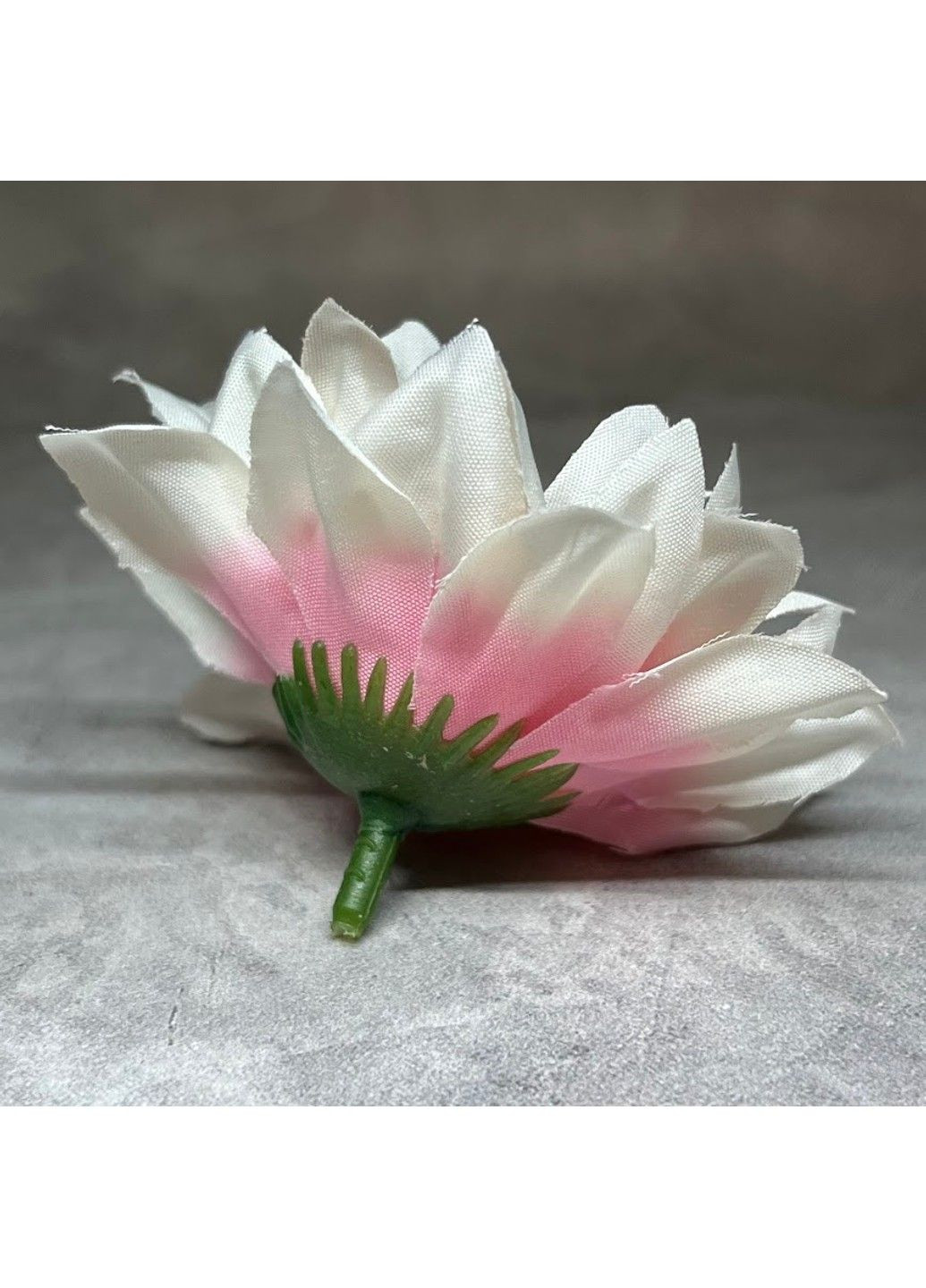 Бутон (головка цветка) Георгина 7 см, цвет -бело-розовый, арт 017975, поштучно No Brand (324272199)