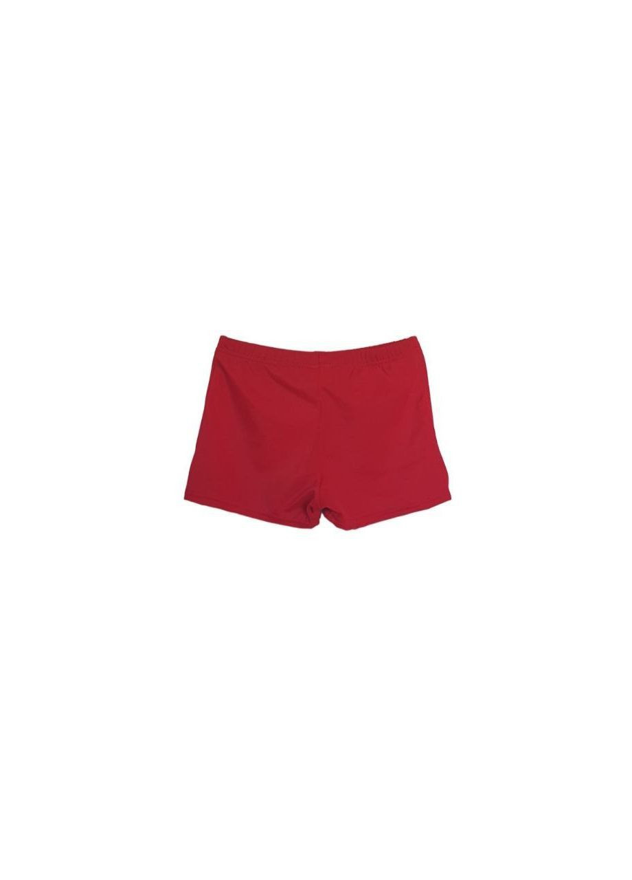 Плавки Голубой Sprider (324401293)