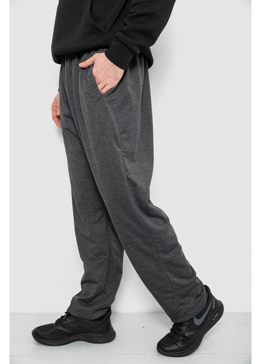 Спортивні штани чоловічі,, 244R41399 No Brand (376133793)