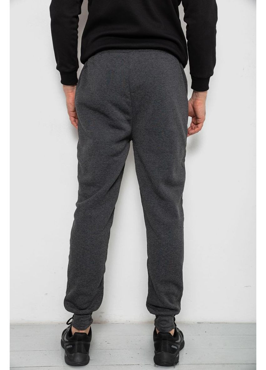 Серые спортивные демисезонные брюки Ager