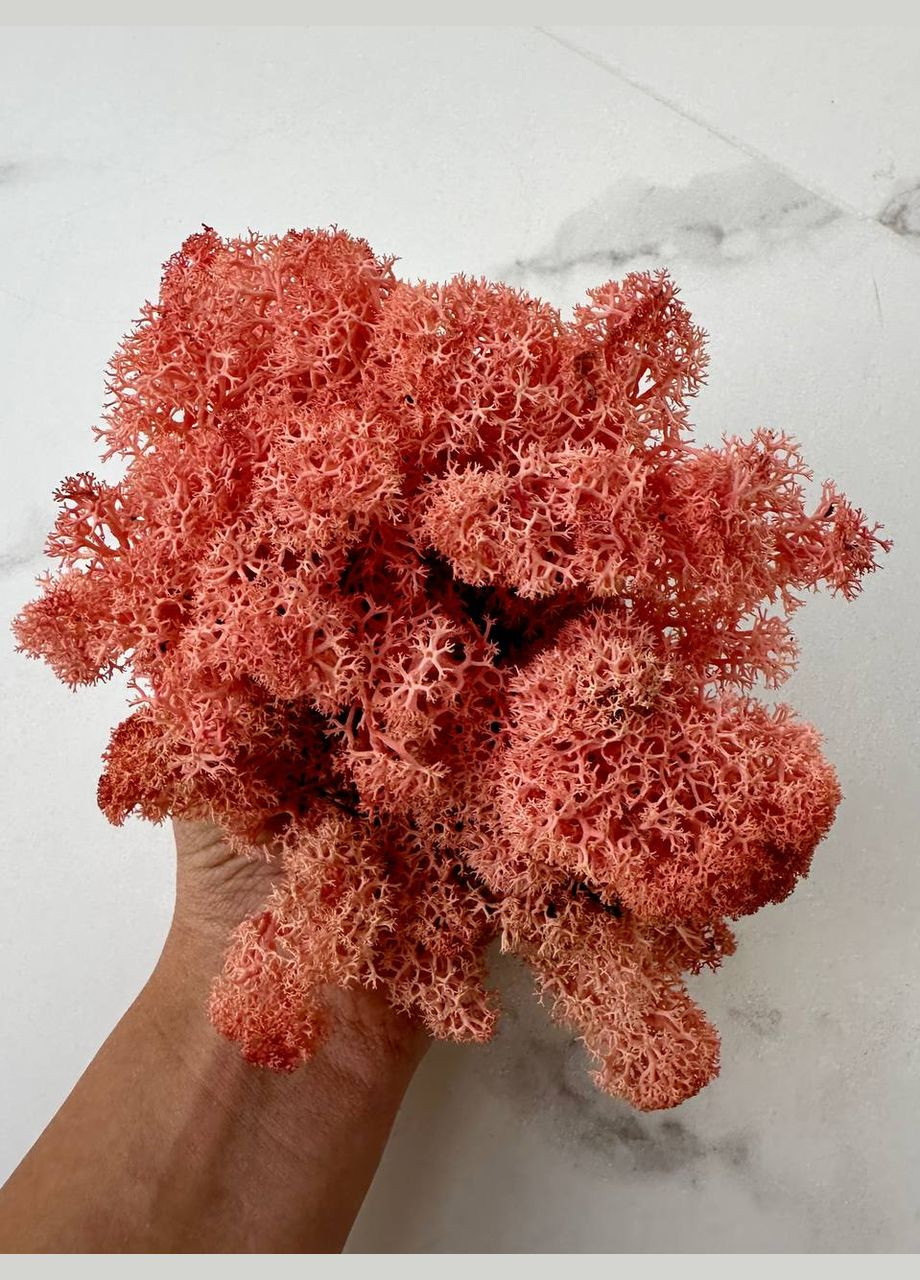 Стабілізований Норвезький Мох (Ягель) 1 кг. – Pink No Brand (302520147)