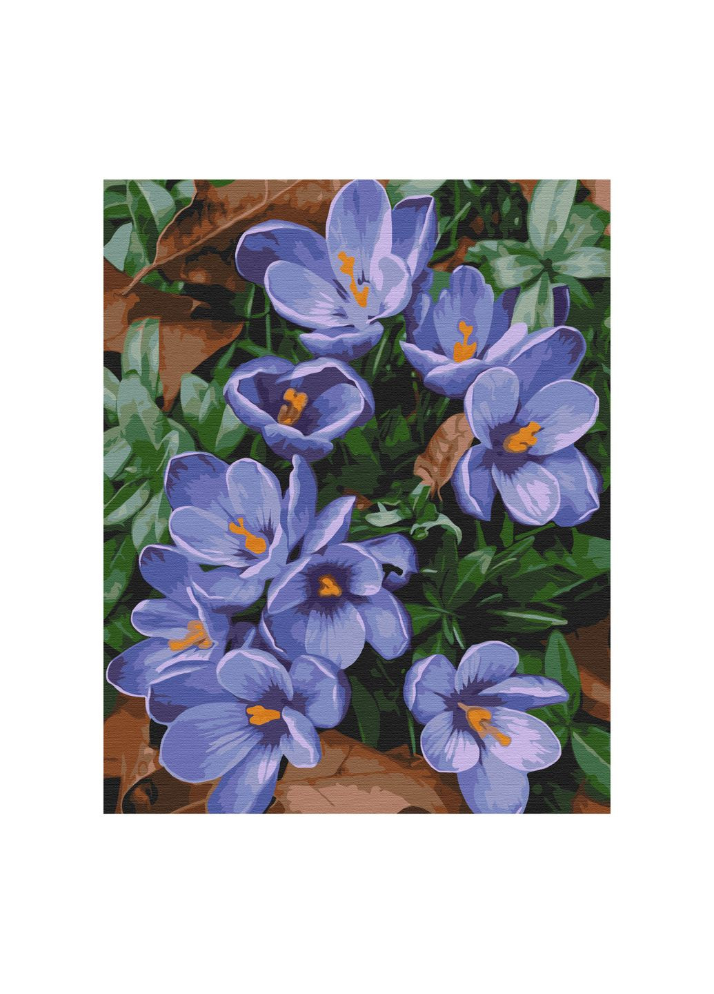 Картина по номерам "Крокусы", 40х50 см, LR-00016 Лінера (296661304)