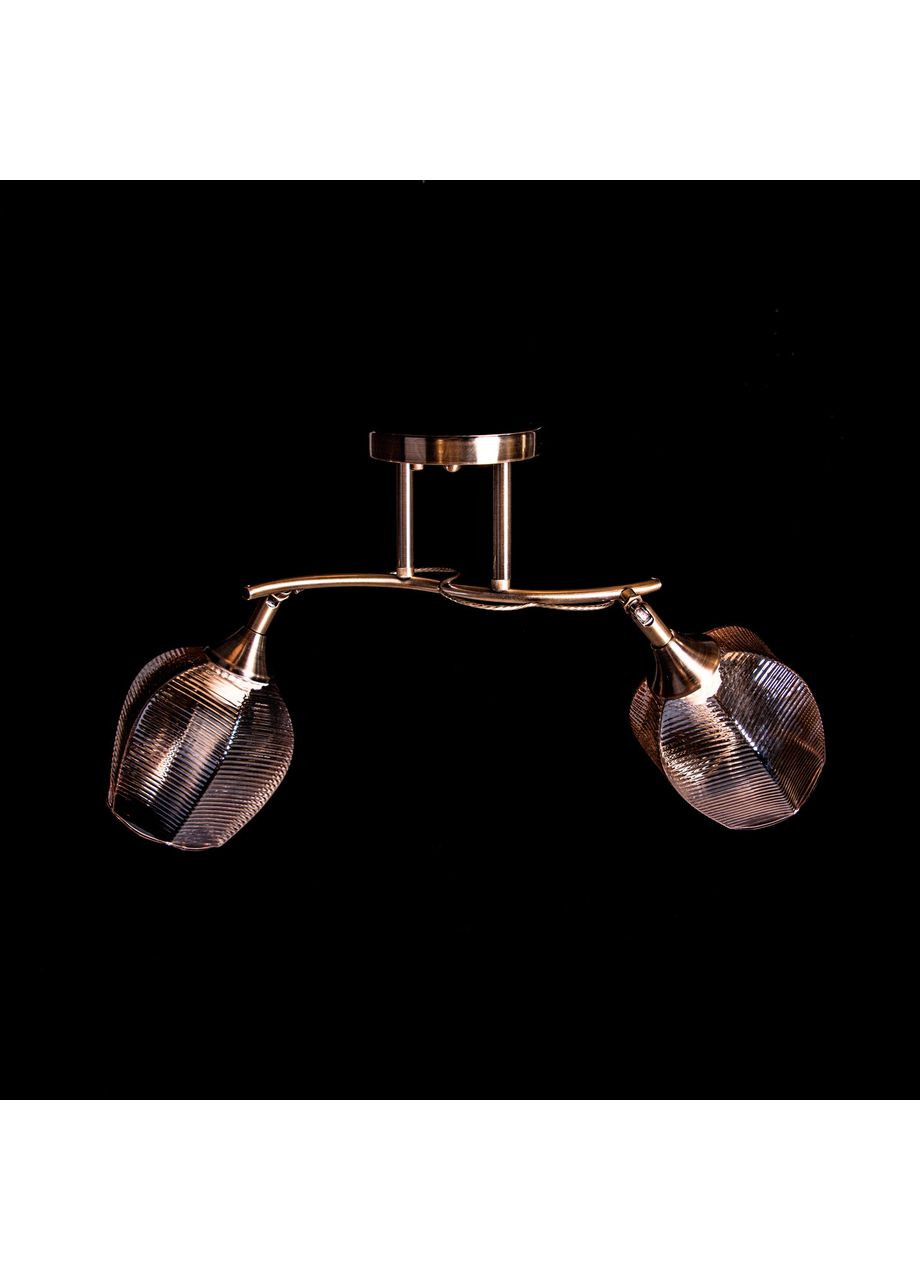 Стельова люстра на 2 лампочки N4730/2/L570*W190*H240 No Brand (352229954)