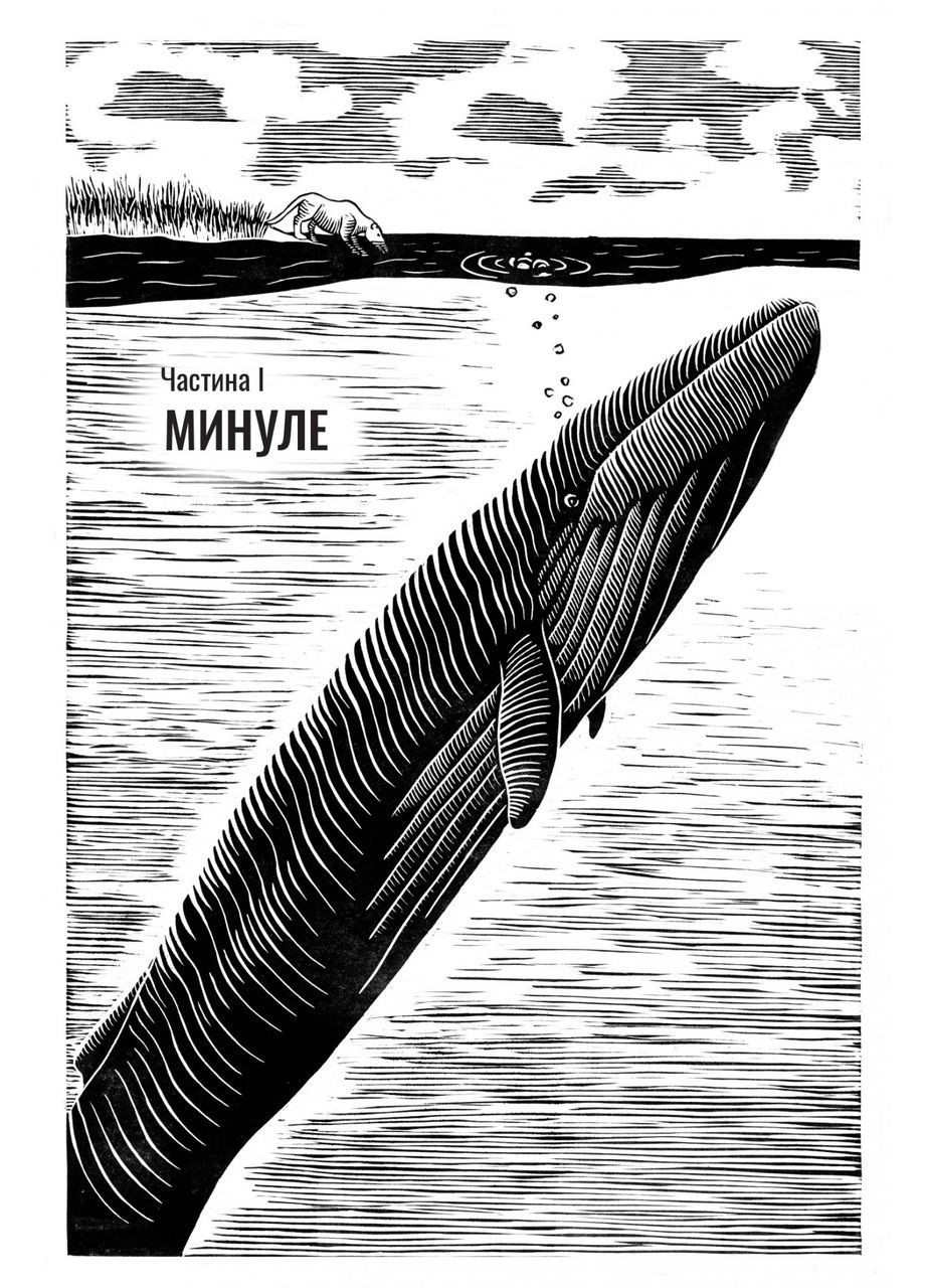 Книга Підглядаючи за китами: Минуле, сьогодення та майбутнє найбільших у світі тварин. Нік Пайєнсон Видавництво "Апріорі" (335971366)