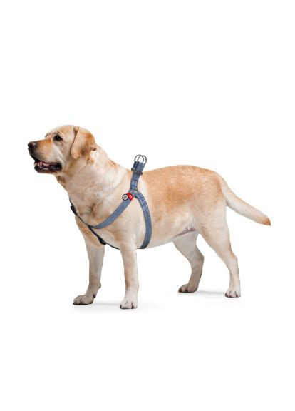 Шлей для собак Re-cotton с QR-паспортом М синяя (033212) WAUDOG Re-cotton з QR-паспортом М синя (366702505)