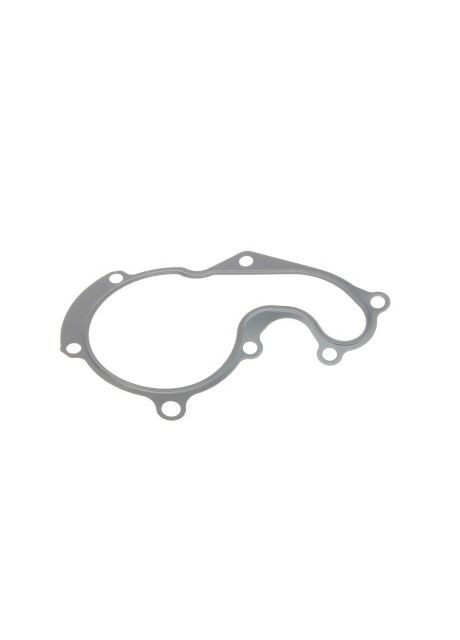 Прокладка насоса воды Ford Connect 1.8TDCi 02 027.811 RU63 No Brand (347158926)