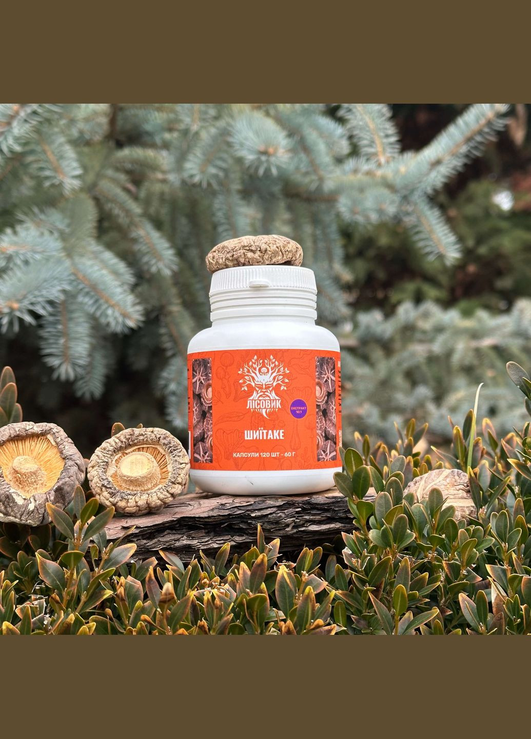 Шиитаке, экстракт 10:1, капсулы 120 шт по 0.5 г Лісовик (334292875)