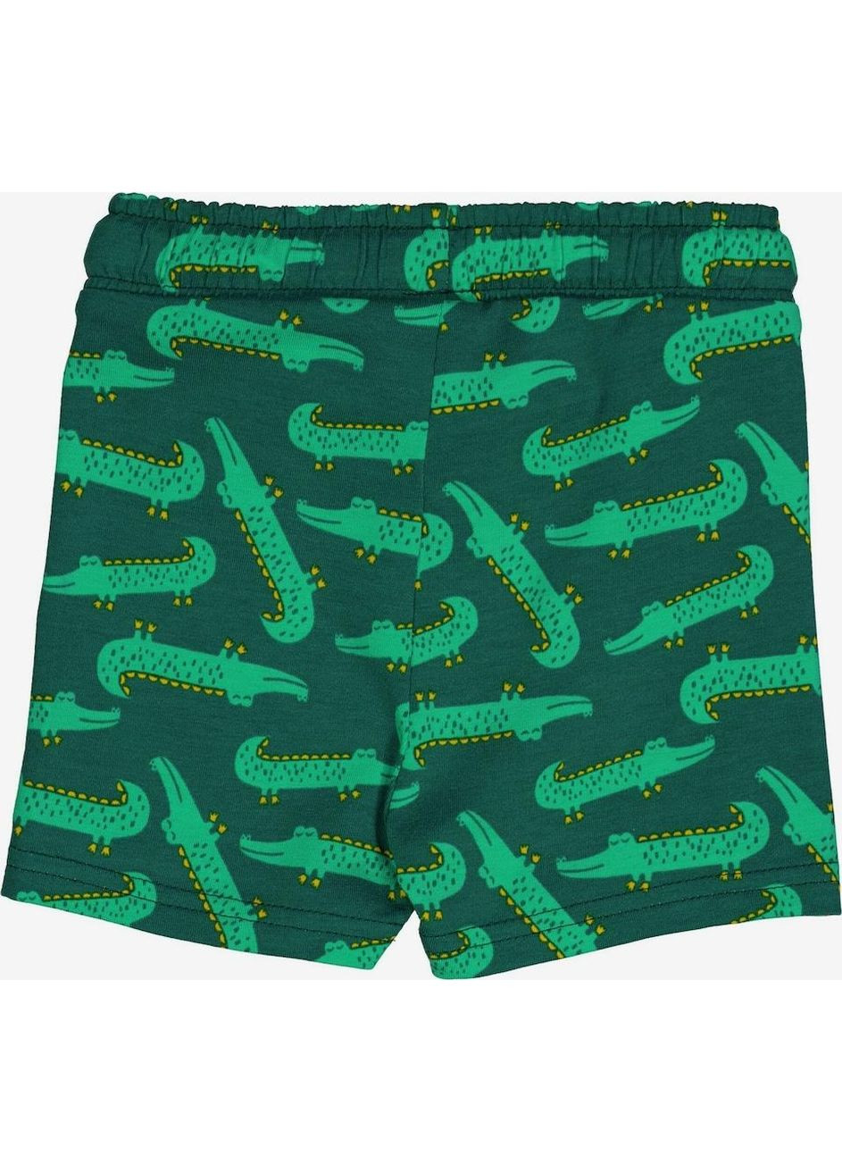 Детские шорты для мальчика Зеленые (251112136) Green Cotton (370372489)