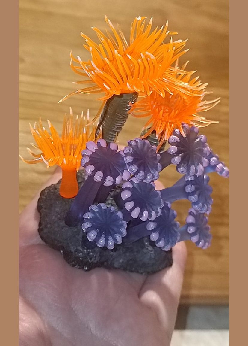 Корал силіконовий життєрадісна сімейка Анемонів Декорація для акваріума 8х8 см No Brand (347067664)