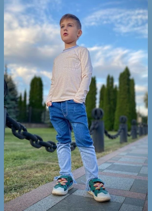 Коричневый демисезонный джемпер для мальчика hc (h001-6221-090) No Brand