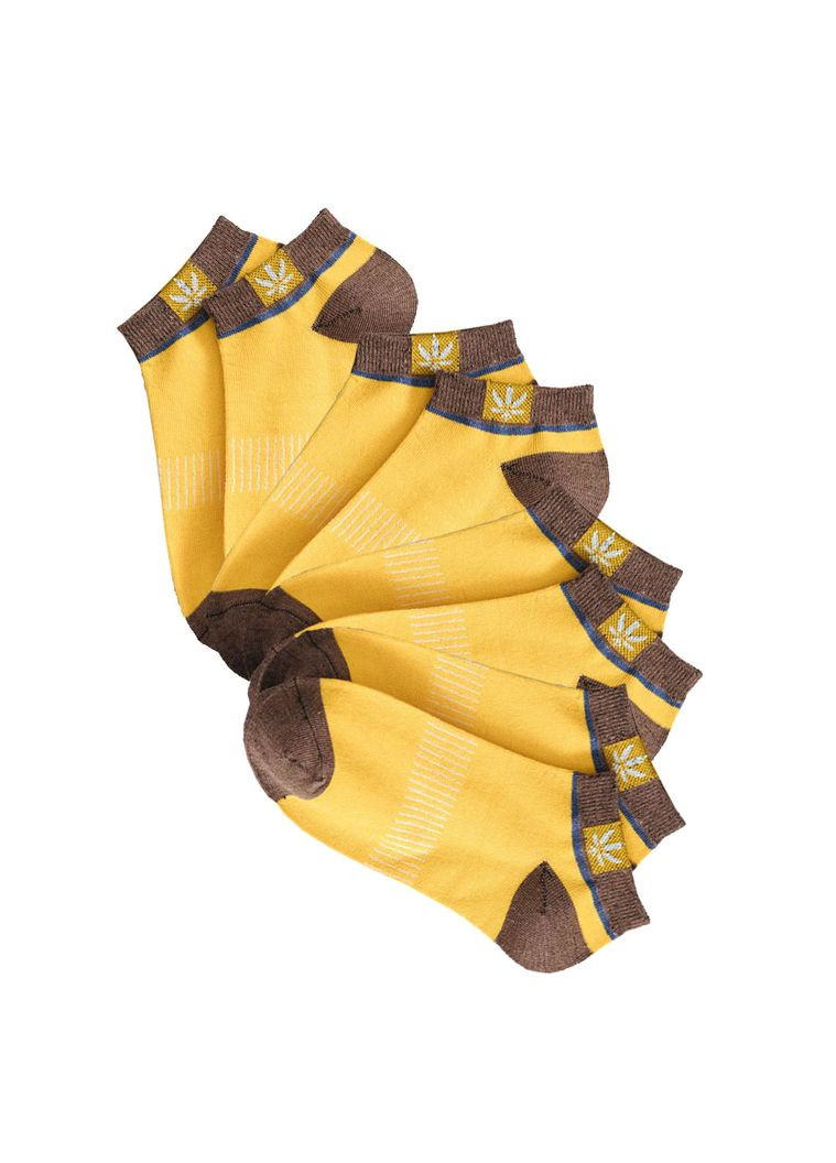 Стильні чоловічі шкарпетки розмір 36-38 Hempo Жовто-коричневий, 4 пари BAFT (293488859)