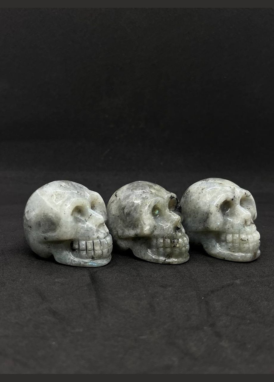 Лабрадор Череп Мінерали No Brand (316323172)