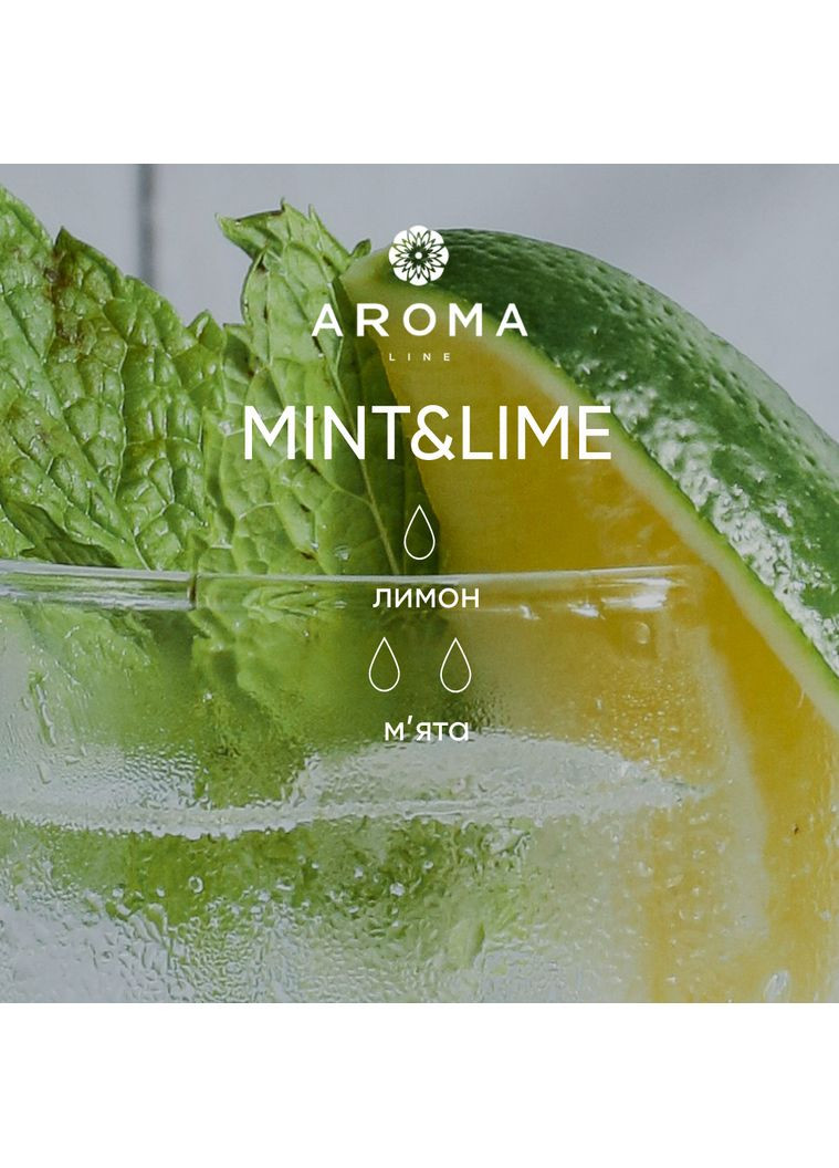 Аромат / Віддушка MINT & LIME 500 гр - для аромадифузорів, мила та косметичних засобів Aroma (316648994)