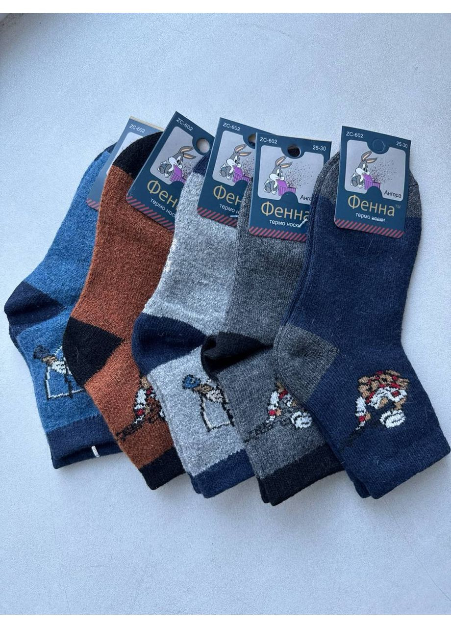 Шкарпетки дитячі 5 пар "Фенна" для хлопчика р.25-30 ТЕРМО зимові ФЕННА (361148052)