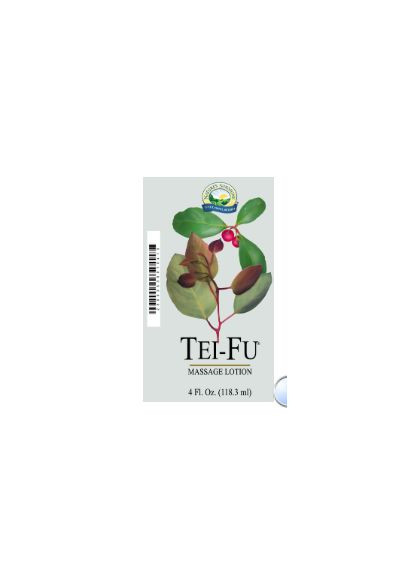 Tei-Fu Massage Lotion Обезболивающий лосьон «Тэй-Фу» для мышц и суставов NSP (316155814)