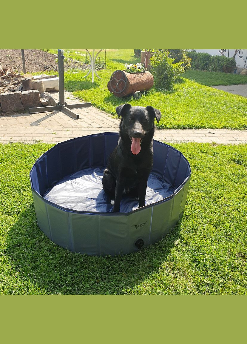 Басейн для собак XXL 100x30см Purlov (340073055)
